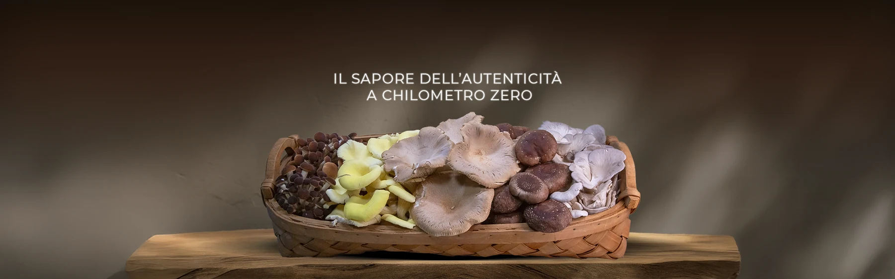 Moretti - visual funghi