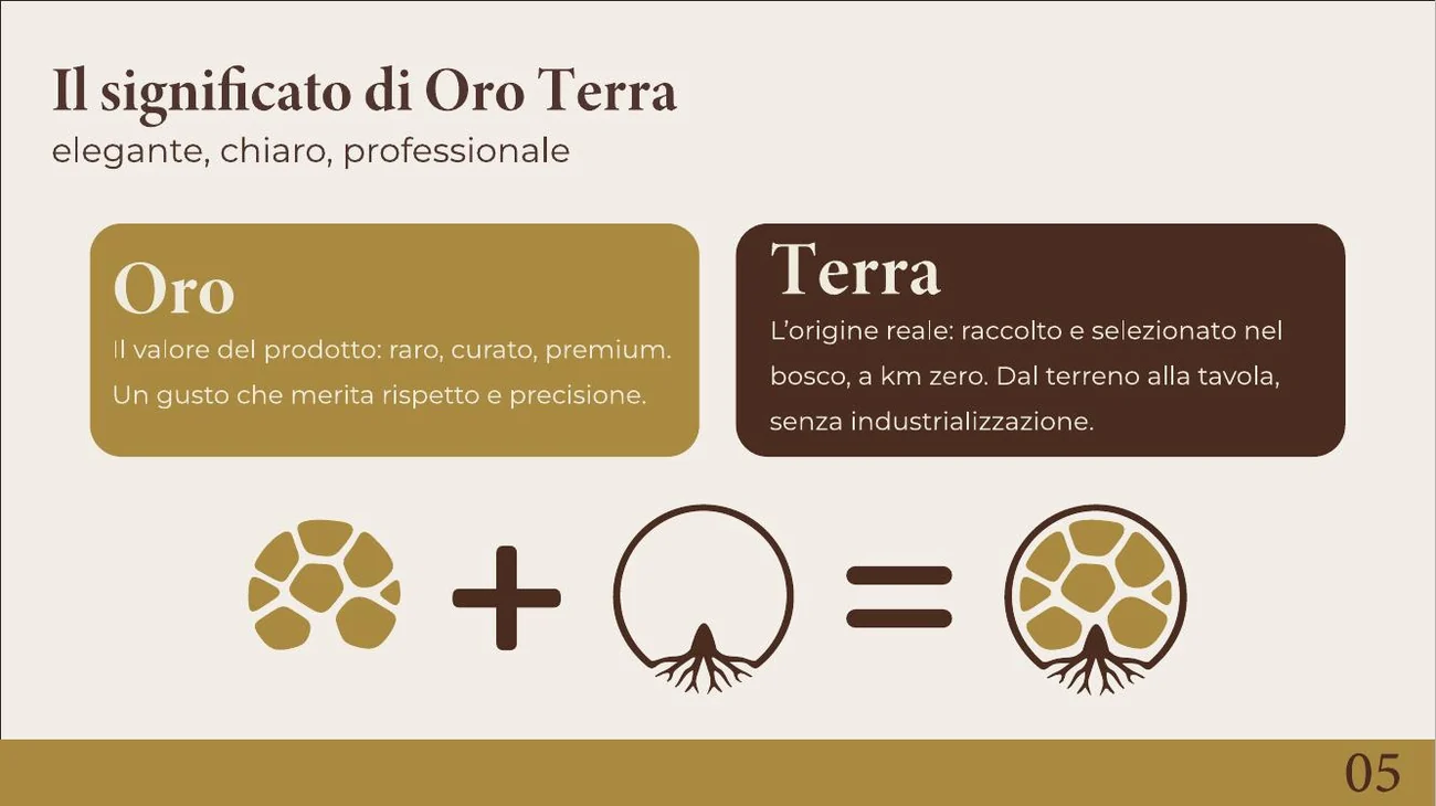 OroTerra - visual progetto