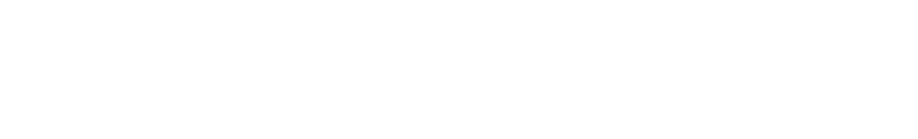 Manuel Paoloni Graphic Designer